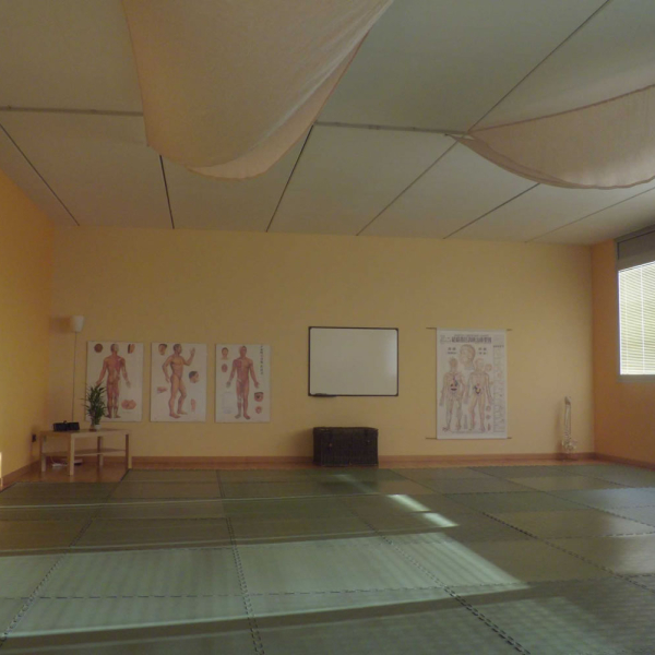 scuola shiatsu 001 1