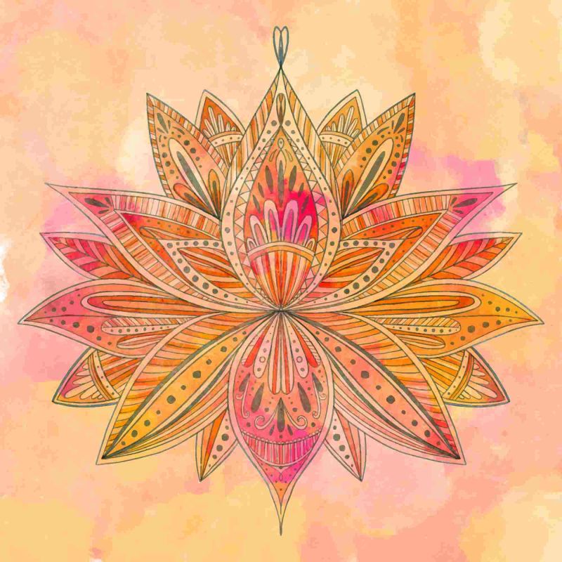 Fiorire attraverso il corpo